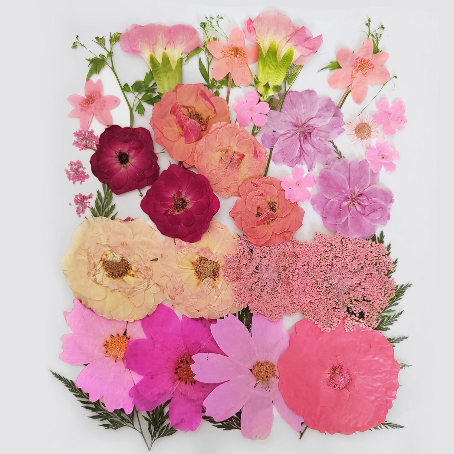 OECCO Large Pink Dried Pressed Flower for Resin Craft