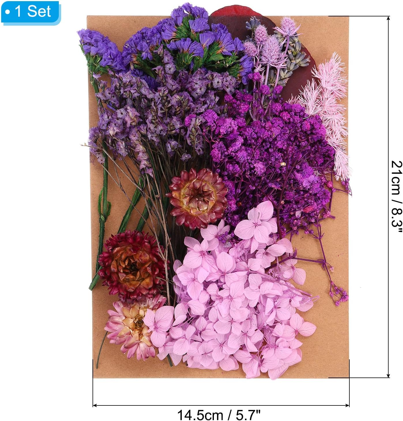 PATIKIL Purple Pressed Flowers for Resin Soap Candle Scrapbooking DIY Gift Papermaking