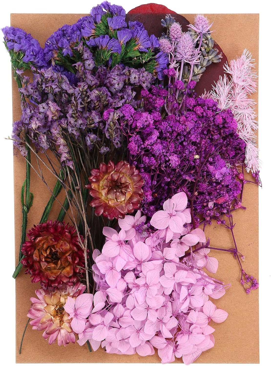 PATIKIL Purple Pressed Flowers for Resin Soap Candle Scrapbooking DIY Gift Papermaking