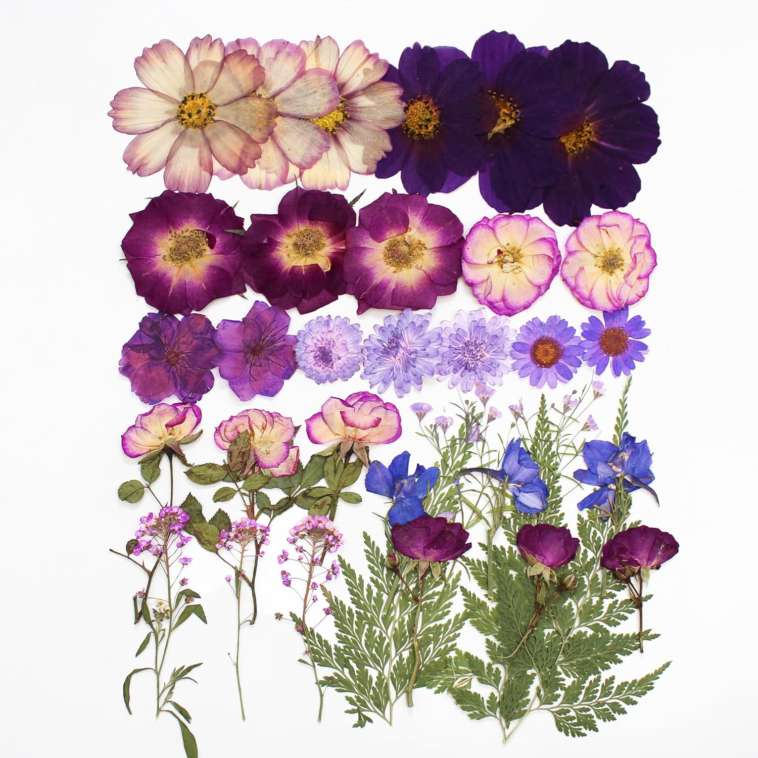 OECOO Purple Dried Pressed Flower for Resin Crafts