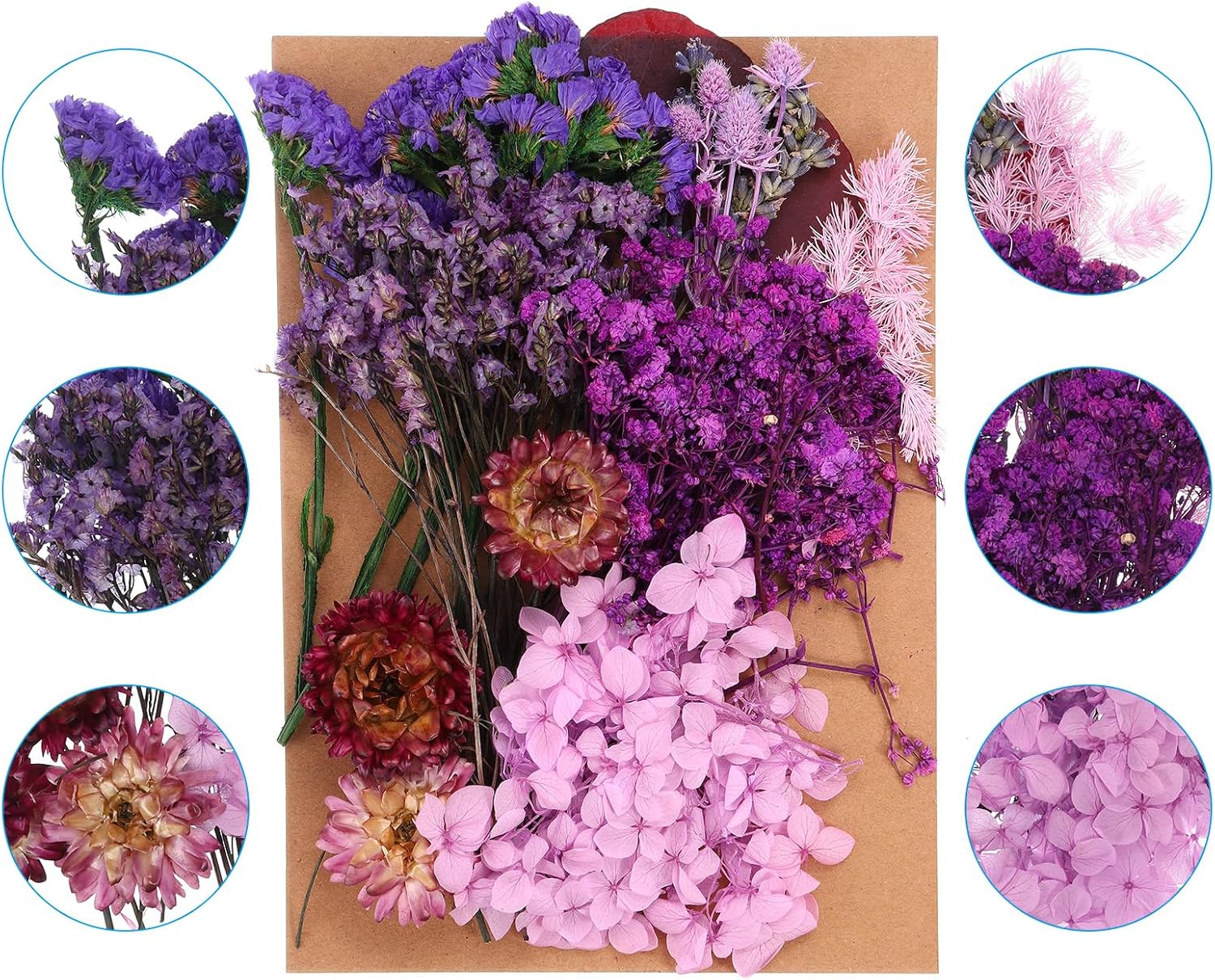 PATIKIL Purple Pressed Flowers for Resin Soap Candle Scrapbooking DIY Gift Papermaking