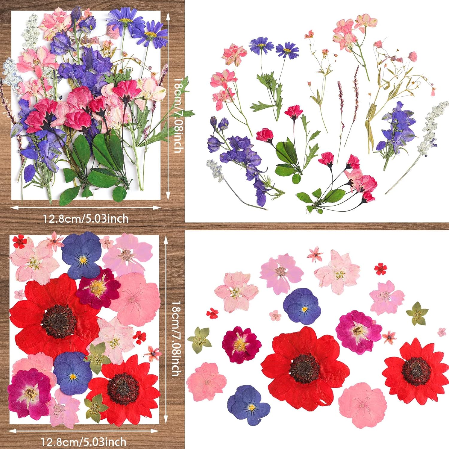 Nuanchu Dried Pressed Flowers for Resin Crafts DIY Decorations