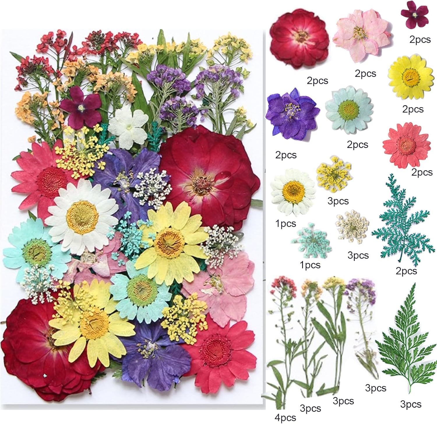 TopFunny 40 Pcs Resin Dried Flowers for DIY Art Crafts