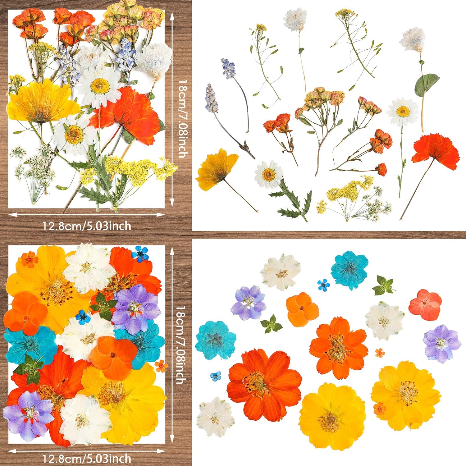 Nuanchu Dried Pressed Flowers for Resin Crafts DIY Decorations