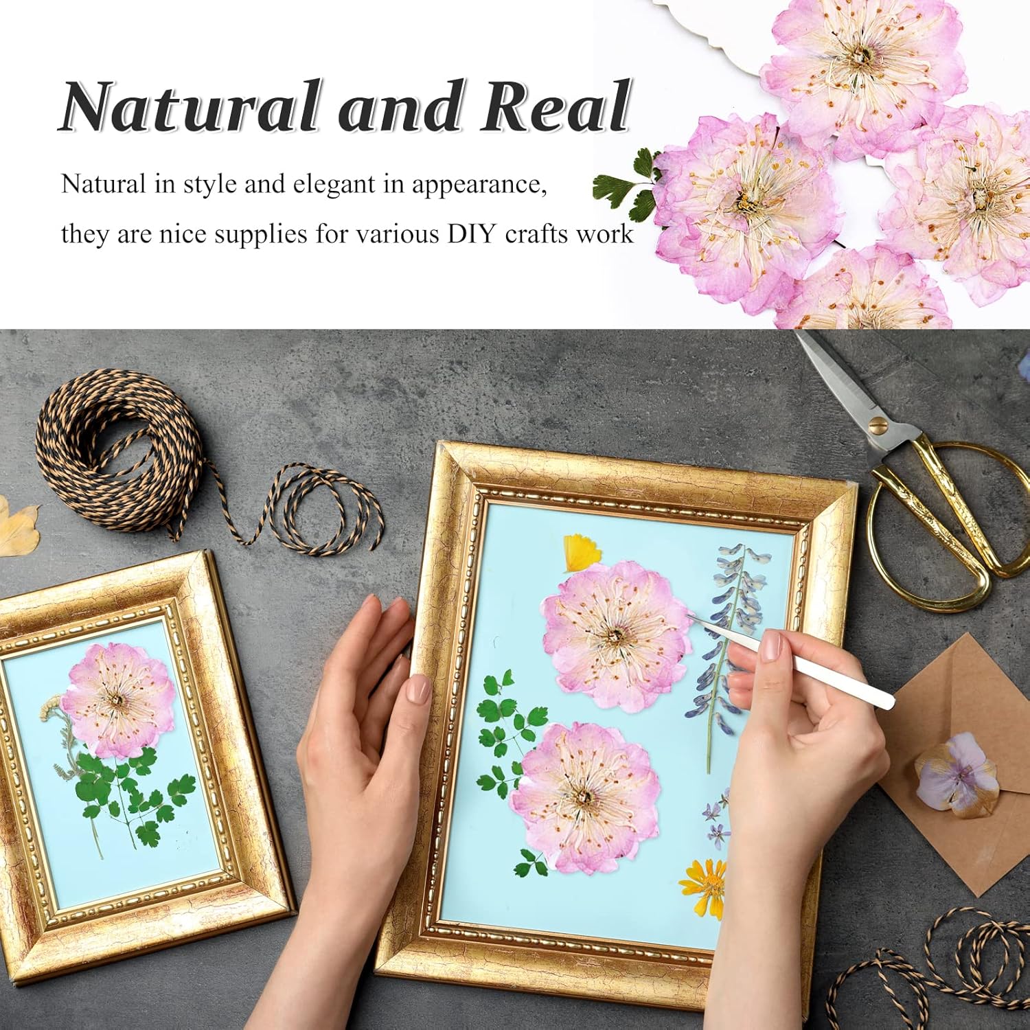 60PCS Pink Dried Cherry Blossom Flowers for Resin Crafting and Candle Making