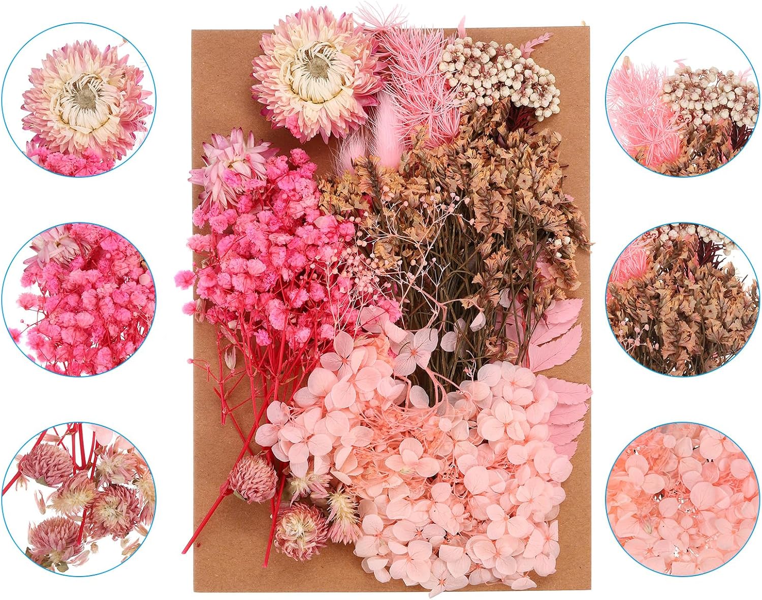 PATIKIL Pink Pressed Flowers for Craft and DIY