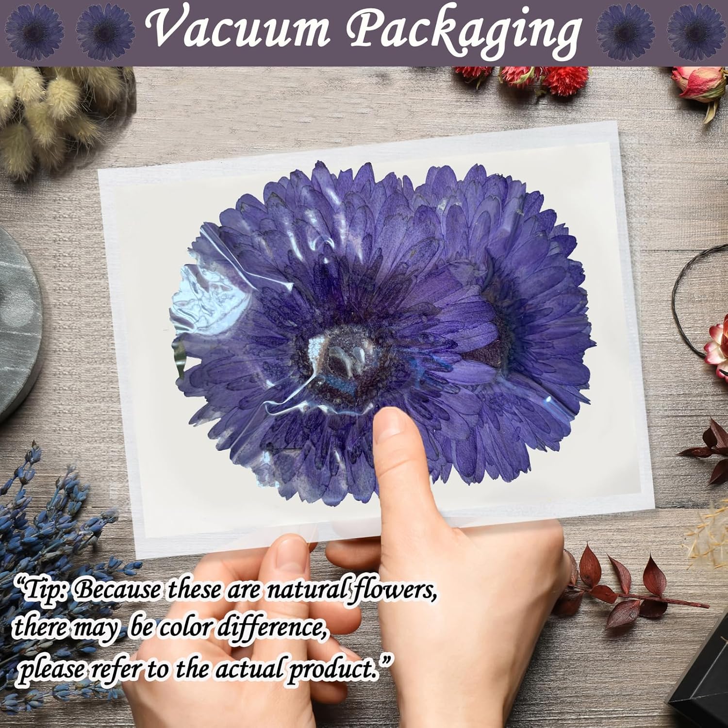 ALJ Large Purple Dried Sunflowers for Resin Crafts