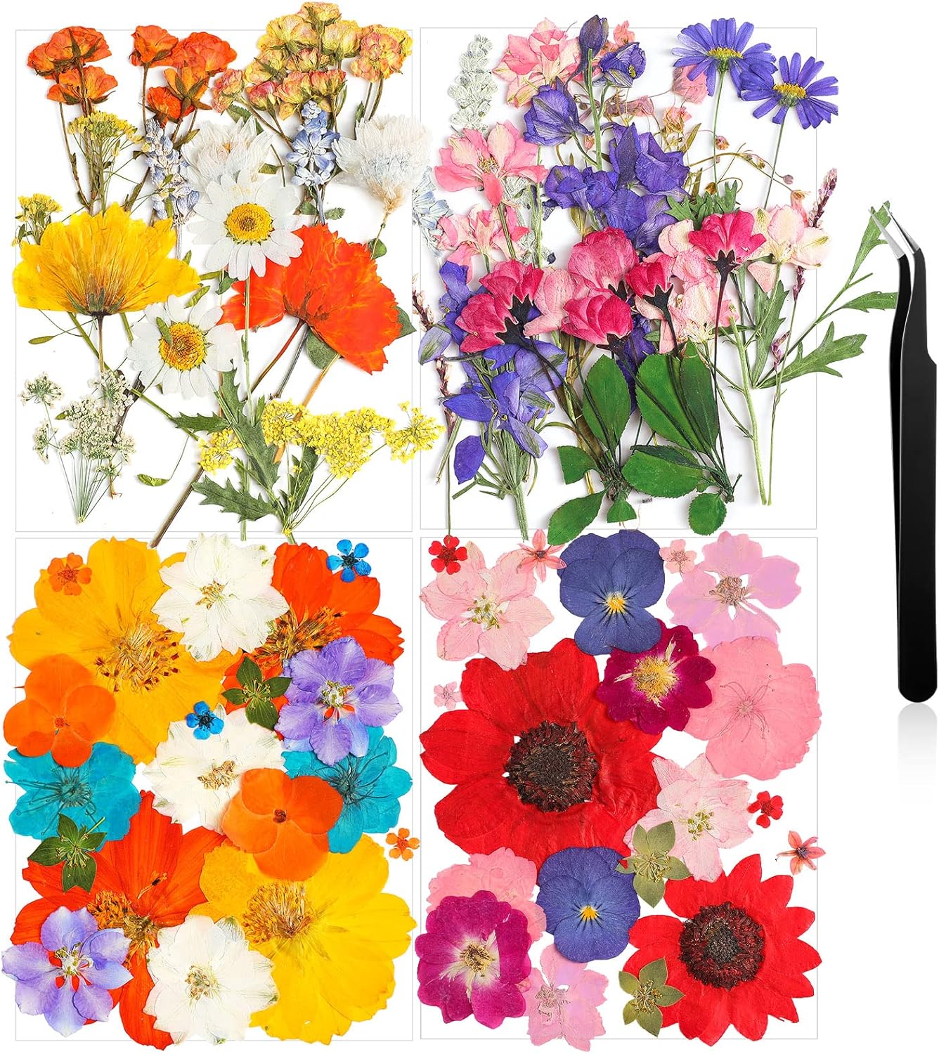 Nuanchu Dried Pressed Flowers for Resin Crafts DIY Decorations
