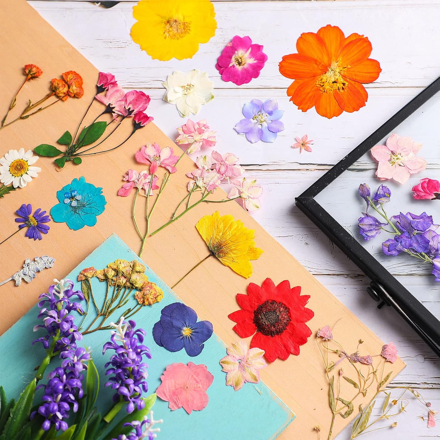Nuanchu Dried Pressed Flowers for Resin Crafts DIY Decorations
