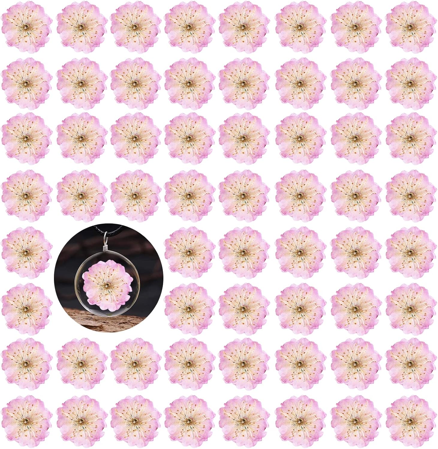 60PCS Pink Dried Cherry Blossom Flowers for Resin Crafting and Candle Making