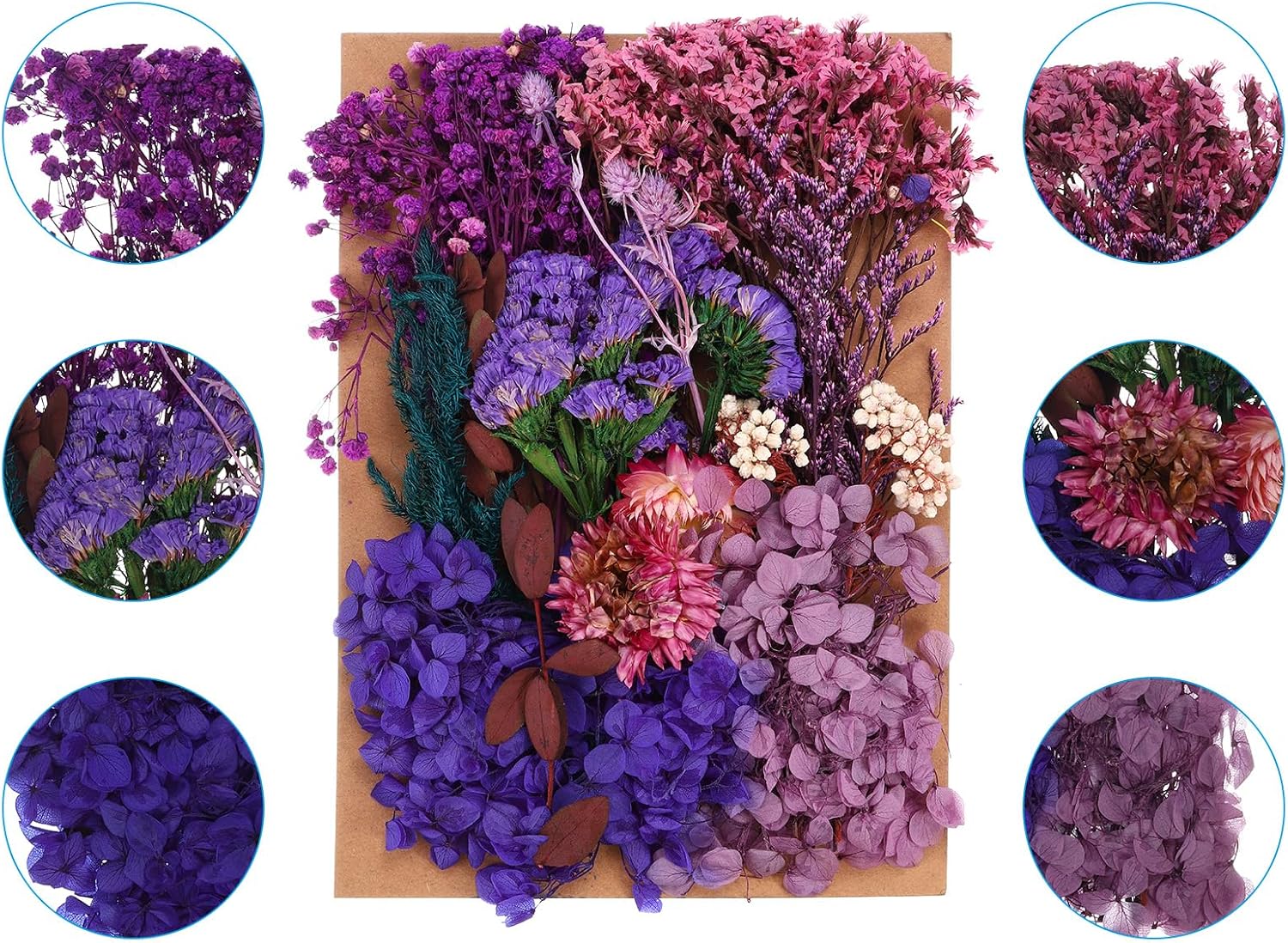 PATIKIL Dried Pressed Flowers for DIY Crafts and Resin