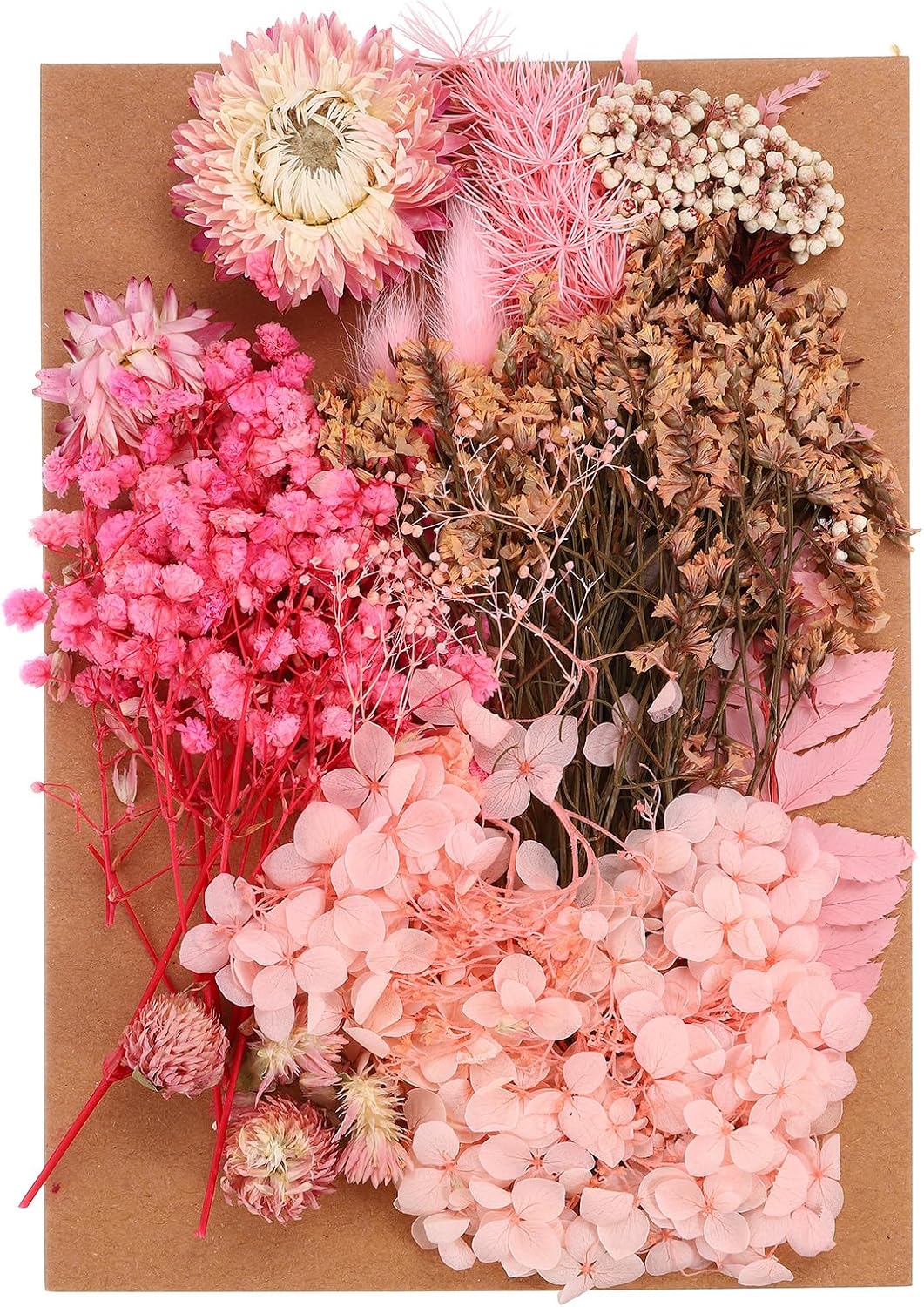 PATIKIL Pink Pressed Flowers for Craft and DIY