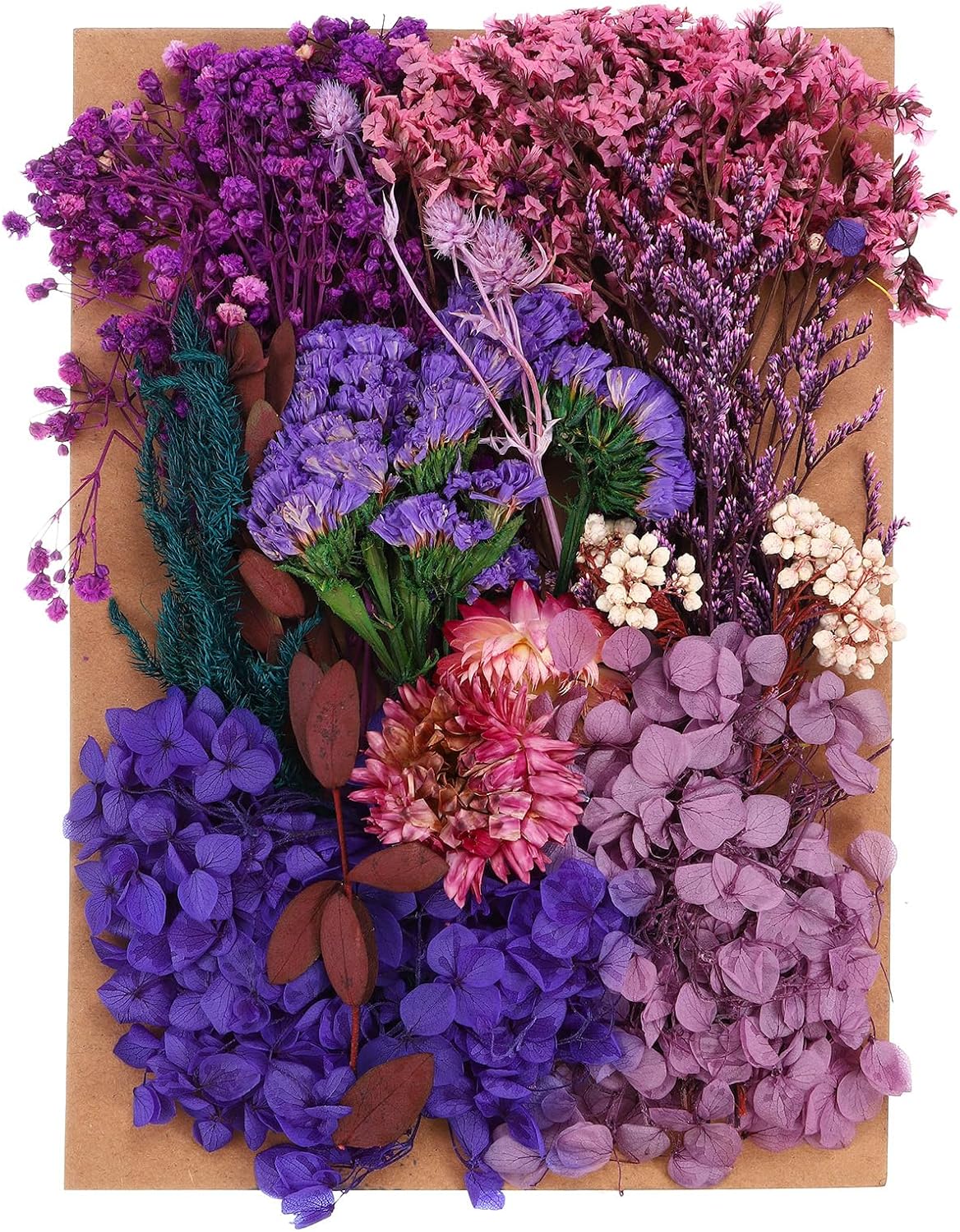 PATIKIL Dried Pressed Flowers for DIY Crafts and Resin